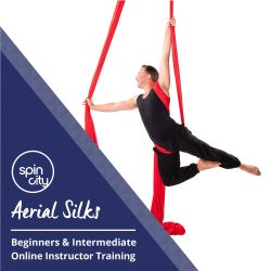 Silks Beginner & Intermediate Online Training Course Pack